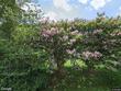 1960 old hollow rd, walkertown,  NC 27051