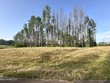 brandon,  MS 39047
