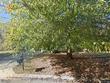 garner,  NC 27529