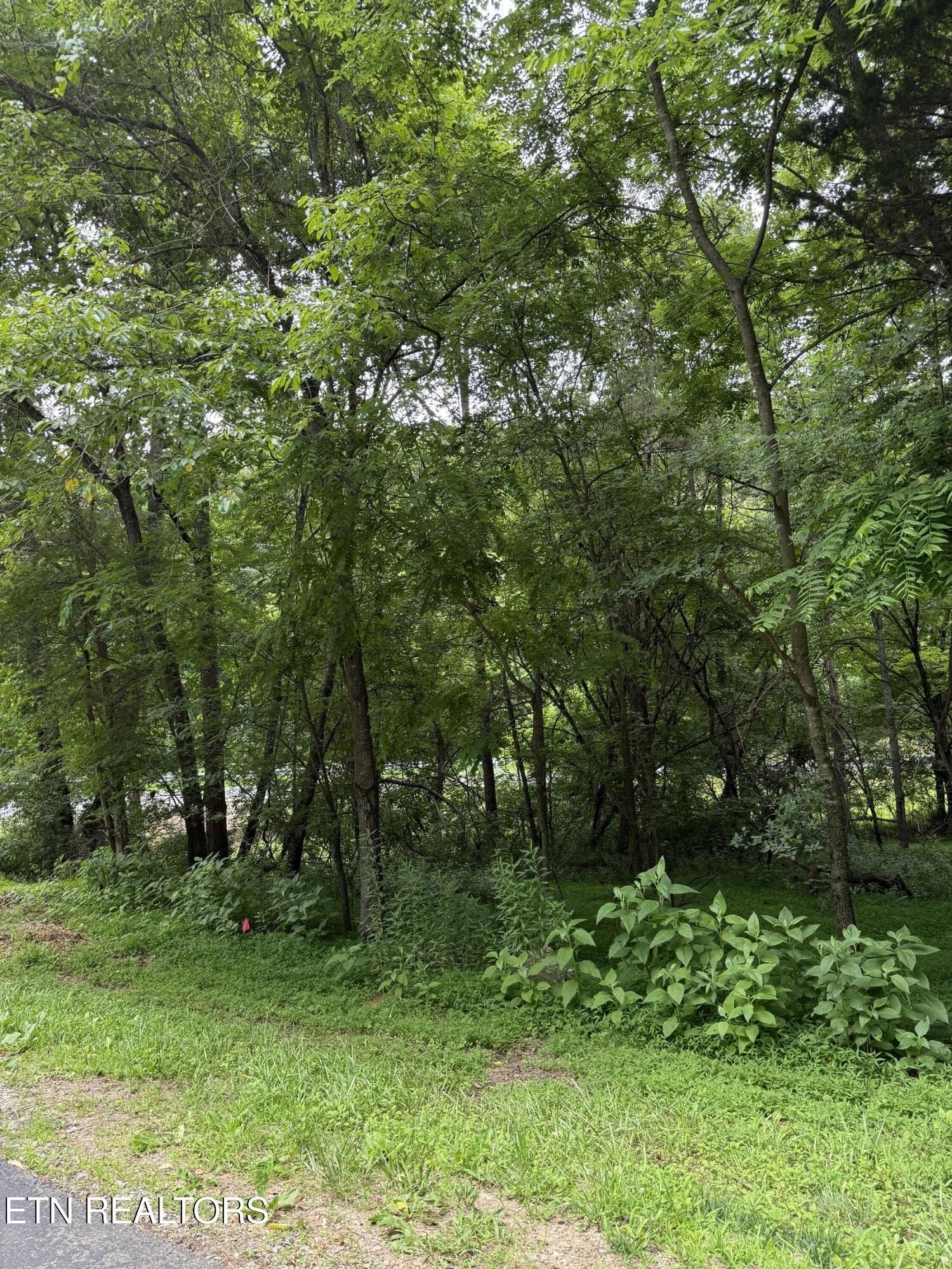 281 ootsima way, loudon,  TN 37774