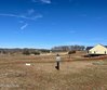 1912 black bear circle, loudon,  TN 37774