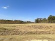  lake cormorant,  MS 38641