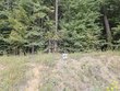  milton,  NC 27305