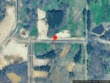  lake cormorant,  MS 38641
