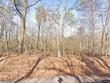 109 chanusi way, loudon,  TN 37774