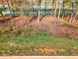 1673 black cove ln, loudon,  TN 37774