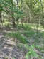  hernando,  MS 38632