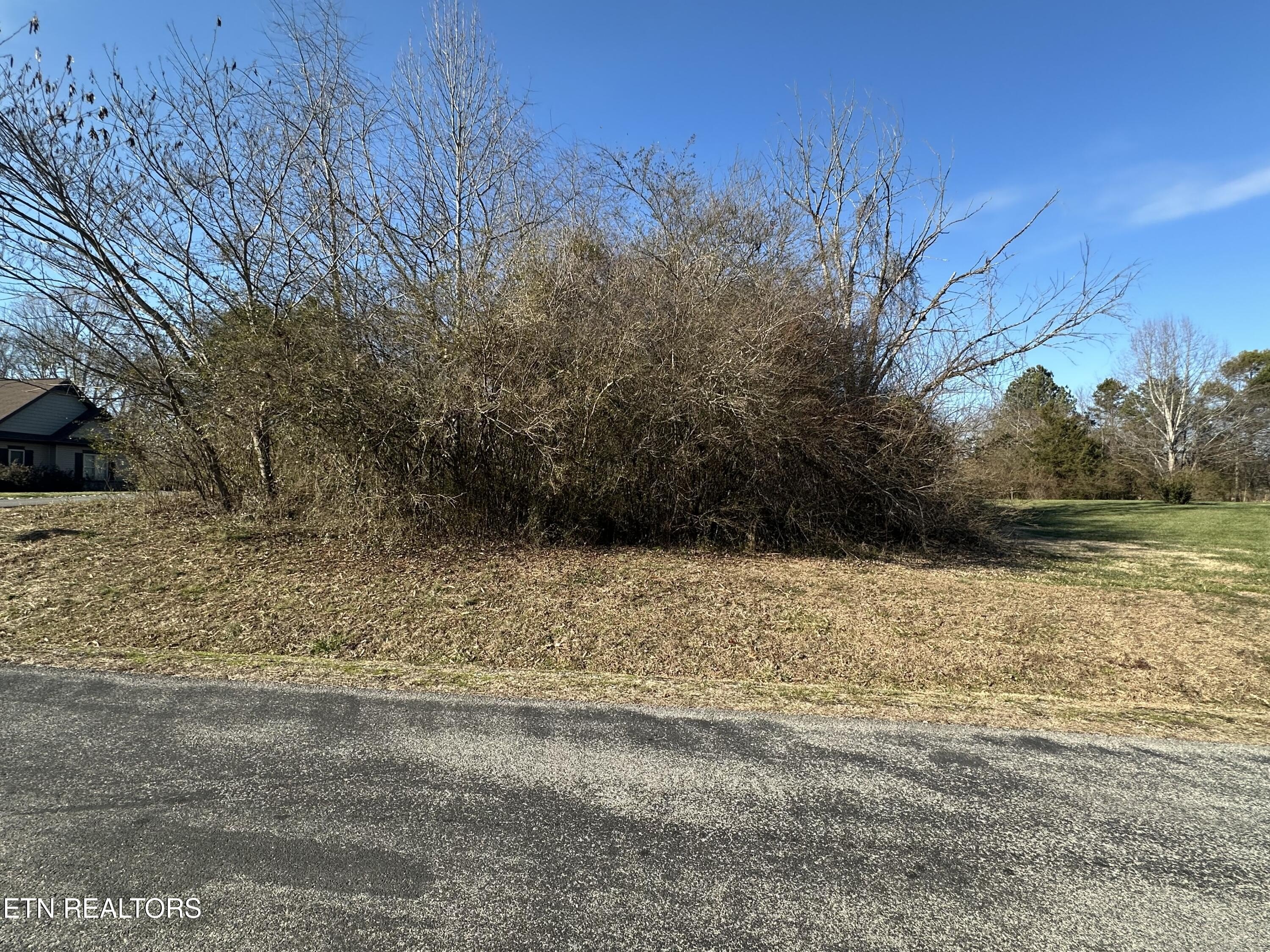 221 oonoga way, loudon,  TN 37774