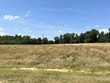  lake cormorant,  MS 38641