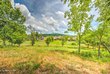 987 mockingbird lane, loudon,  TN 37774