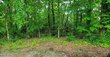 121 ootsima way, loudon,  TN 37774