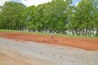 4183 old dogwood tr, loudon,  TN 37774