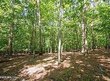 1267 old dogwood trl, loudon,  TN 37774