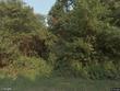 204 cheeyo trce, loudon,  TN 37774