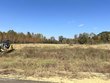  lake cormorant,  MS 38641