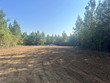  yanceyville,  NC 27379