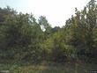 316 oostagala ln, loudon,  TN 37774