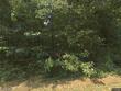 365 dudala way, loudon,  TN 37774