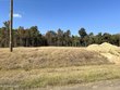  lake cormorant,  MS 38641