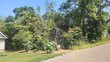 130 gadusi cir, loudon,  TN 37774