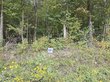  milton,  NC 27305