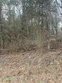 306 kawga trce, loudon,  TN 37774